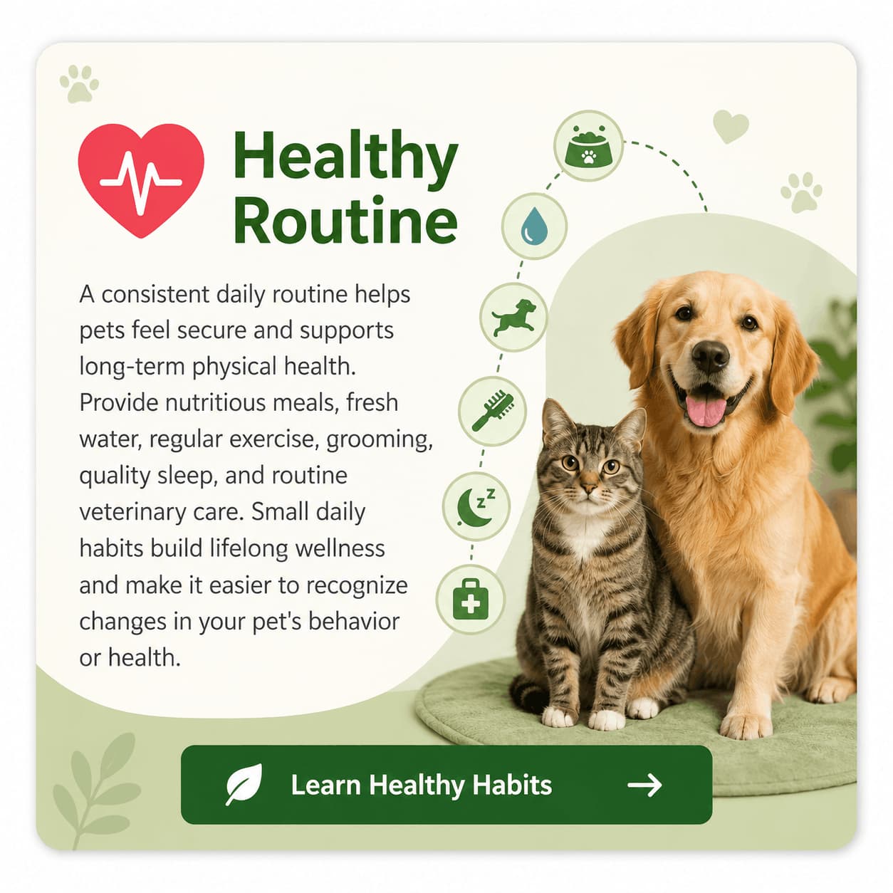 Healthy pet routine card showing daily habits including nutrition, fresh water, exercise, grooming, sleep, and preventive veterinary care.