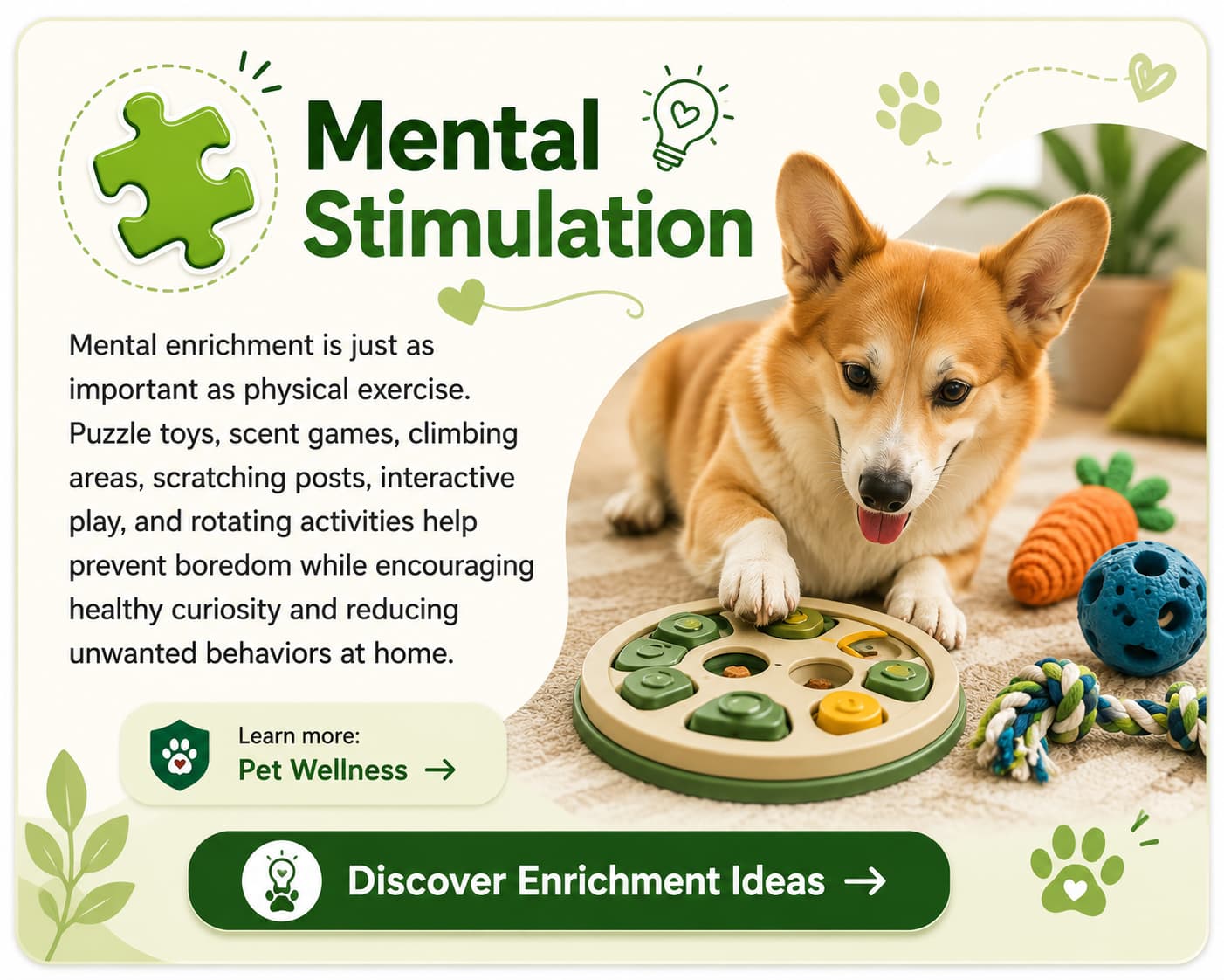 Mental stimulation card showing puzzle toys, enrichment activities, scent games, and interactive play for dogs and cats.