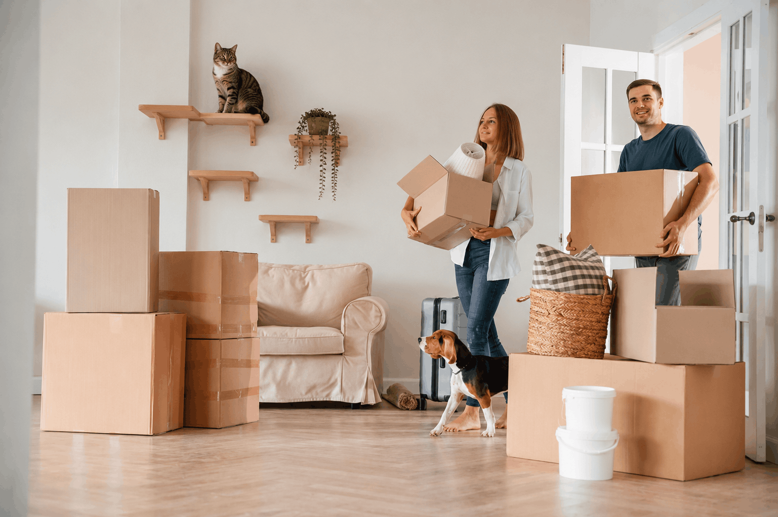 Family moving into a pet-friendly home with a dog and cat, featuring indoor cat shelves and safe living spaces for pets.