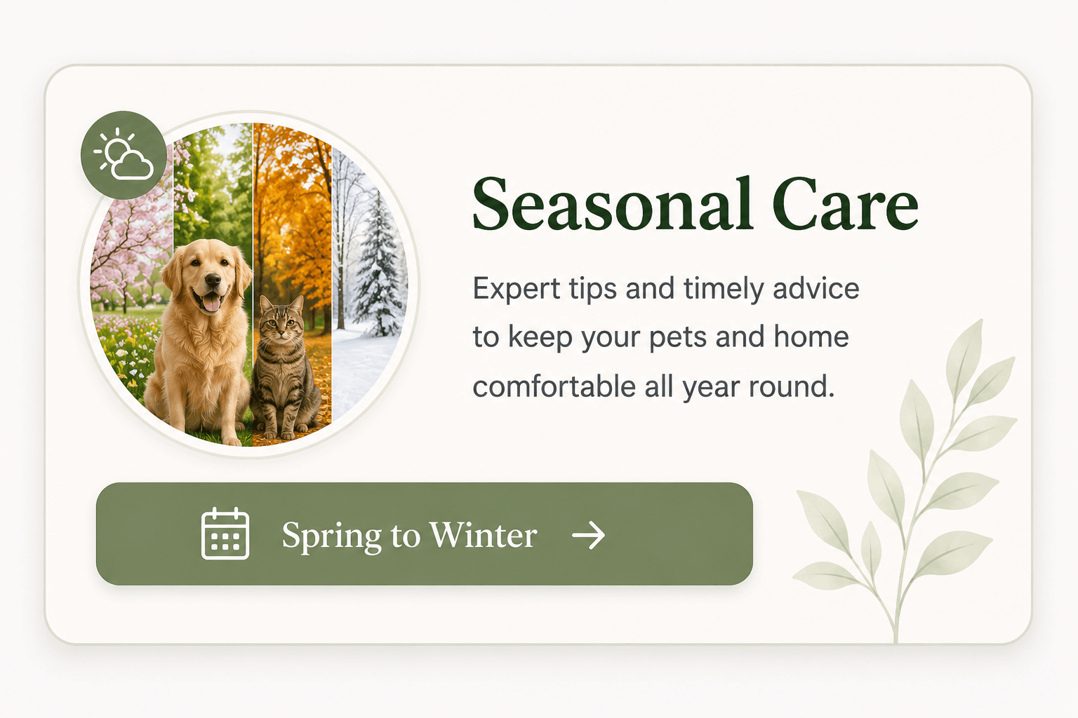 Seasonal pet care card showing spring, summer, autumn, and winter care for dogs and cats.